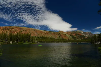 DSC_0022 (Large).JPG